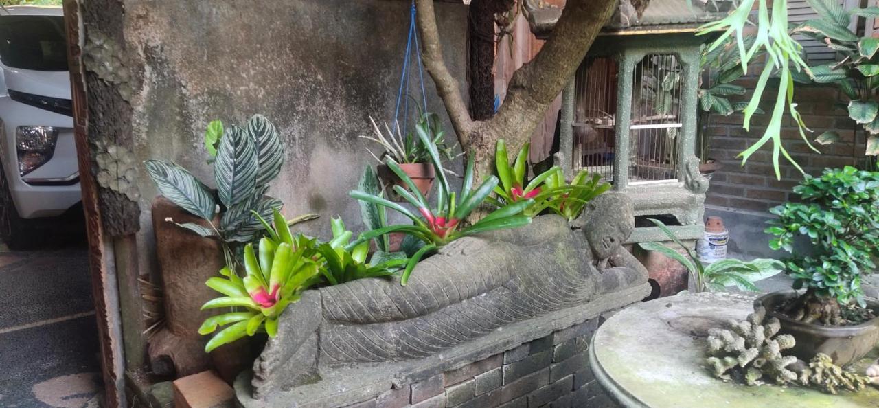 Samblung Mas House Apartment Denpasar  Ngoại thất bức ảnh